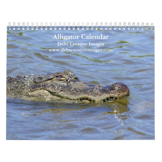 Alligatoren im Wilden 2026 Kalender (Titelbild)