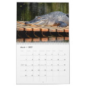 Alligatoren im Wilden 2026 Kalender (Mär 2027)