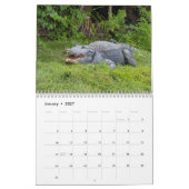 Alligatoren im Wilden 2026 Kalender (Jan 2027)