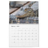 Alligatoren im Wilden 2026 Kalender (Feb 2027)