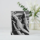 Alligatoren Postkarte (Stehend Vorderseite)