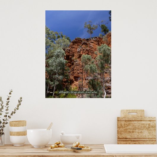 Alligatorengraben Poster (Küche)