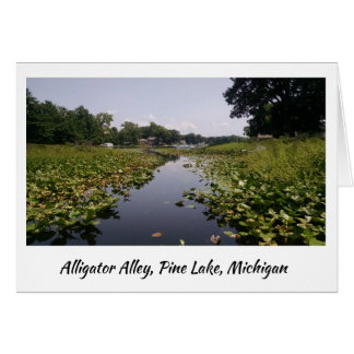 Alligatorgasse - Pine See