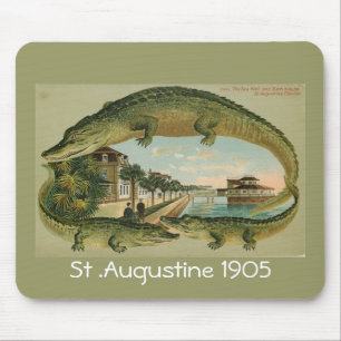 Alligatorgrenze St Augustine Florida 1905, St.… Mousepad