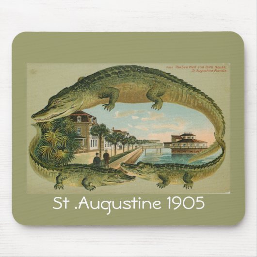 Alligatorgrenze St Augustine Florida 1905, St.… Mousepad (Vorne)
