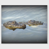 AlligatorLiebe Geschenkpapier (Flach)