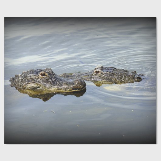 AlligatorLiebe Geschenkpapier (Flach)
