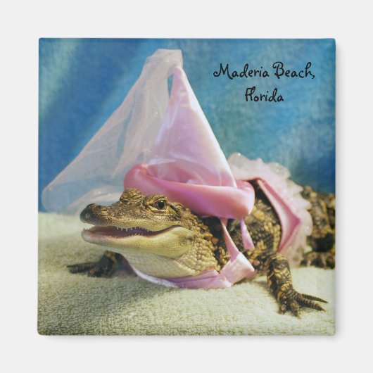 Alligatormagnet Magnet (Vorne)