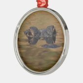 Alligatoroberflächenbearbeitung Silbernes Ornament (Links)