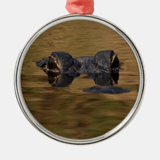 Alligatoroberflächenbearbeitung Silbernes Ornament (Vorne)
