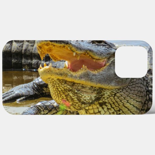 Alligatorportrait. Angesicht Case-Mate iPhone Hülle (Rückseite (Horizontal))