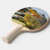 Alligatorportrait. Florida-Alligatoren Tischtennis Schläger (Vorderseite)