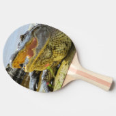 Alligatorportrait. Florida-Alligatoren Tischtennis Schläger (Seitenansicht)