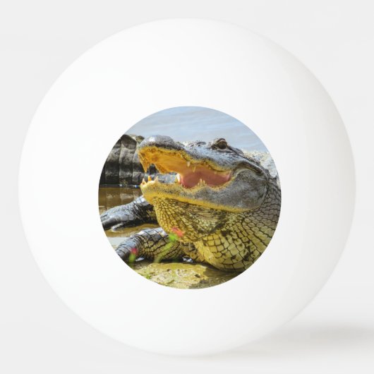 Alligatorportrait Tischtennisball (Vorderseite)