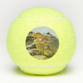 Alligatorporträt. Vertraulich. Tennisbälle