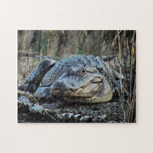 Alligatorpuzzle Puzzle