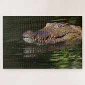 Alligatorpuzzle Puzzle (Horizontal)