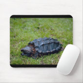 Alligatorreißende Schildkröte Mousepad (Mit Mouse)