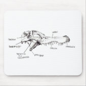 Alligatorschädel-Diagramm Mousepad (Vorne)