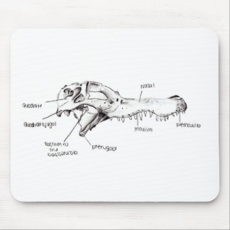Alligatorschädel-Diagramm Mousepad