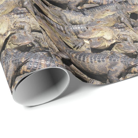 Alligatorstapel-Packpapier Geschenkpapier (Rolleneckpunkt)