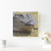 Alligatoruhr Quadratische Wanduhr (Zuhause)