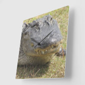 Alligatoruhr Quadratische Wanduhr (Winkel)
