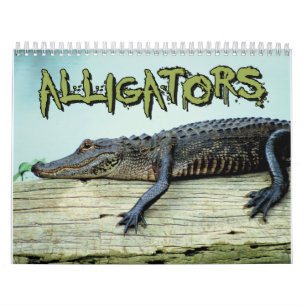 Alligatorwandkalender Kalender