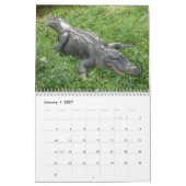 Alligatorwandkalender Kalender (Jan 2027)