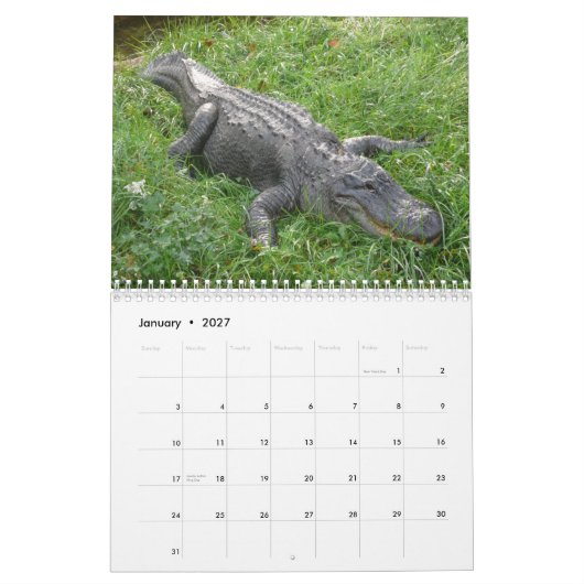 Alligatorwandkalender Kalender (Jan 2027)
