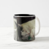 Allis & Abbie Tasse (VorderseiteRechts)