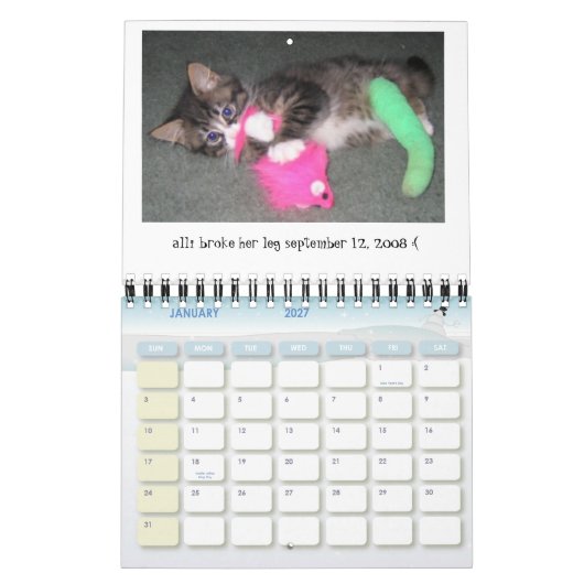 Allis Tagesminikalender 2009-2010 Kalender (Jan 2027)