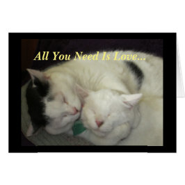 Allis u. Abbie die Katzen alle, die Sie benötigen,