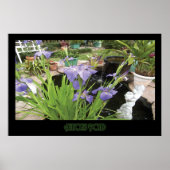 "Allison's Pond" - Print (No Shadow) Poster (Vorne)