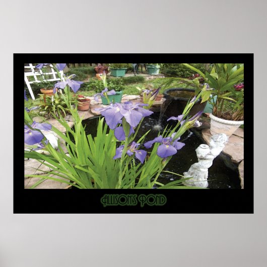 "Allison's Pond" - Print (No Shadow) Poster (Vorne)