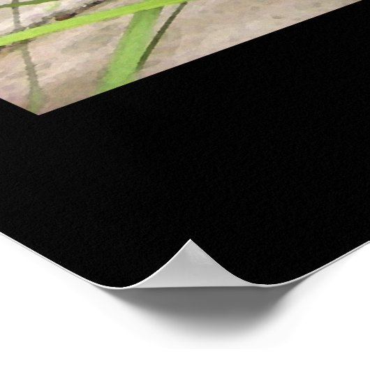 "Allison's Pond" - Print (No Shadow) Poster (Ecke)