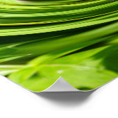 Allium Abstrakt Poster (Ecke)