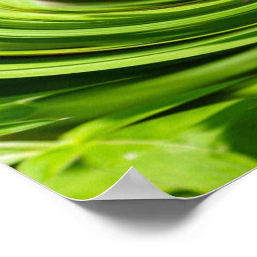 Allium Abstrakt Poster (Ecke)