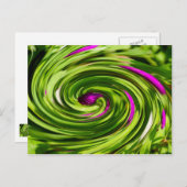 Allium Abstrakt Postkarte (Vorne/Hinten)