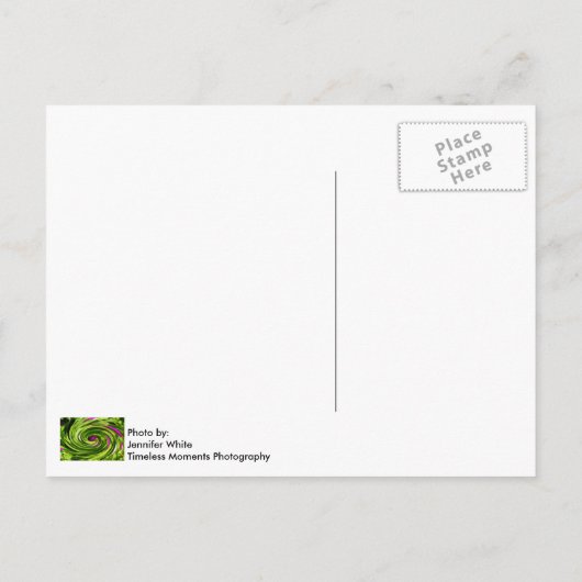 Allium Abstrakt Postkarte (Rückseite)