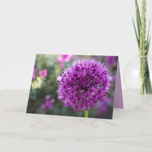 ALLIUM-BLUME KARTE (Vorderseite)