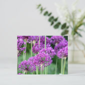 Allium-Blume Postkarte (Stehend Vorderseite)