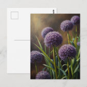 Allium-Blume Postkarte (Vorne/Hinten)