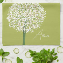Allium-Blumen Botanische Kunst | Elegante Flora