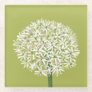 Allium-Blumen Botanische Kunst Elegante Flora Glasuntersetzer