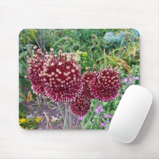 Allium blutende Zwiebel-Pflanze Mousepad (Mit Mouse)