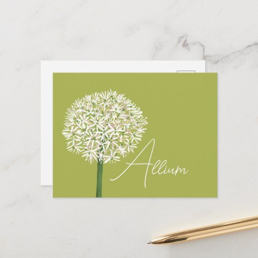  Allium Flower Botanical Art | Elegant Flora Postkarte (Vorderseite/Rückseite Beispiel)