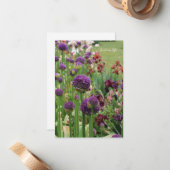 Allium & Iris Blume Bed Mitteilungskarte (Vorderseite/Rückseite Beispiel)