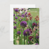 Allium & Iris Blume Bed Mitteilungskarte (Vorne/Hinten)
