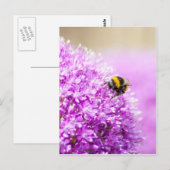 Allium mit Biene Postkarte (Vorne/Hinten)